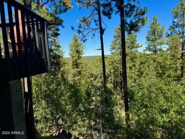 1725 Turkey Mountain Rd, Happy Jack, AZ 86024 - view of local wilderness