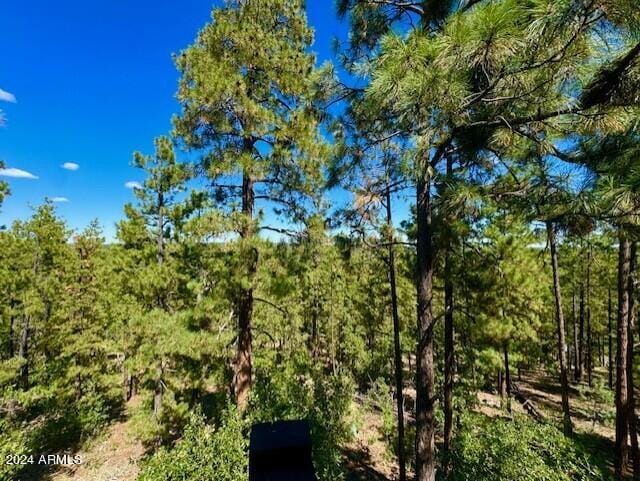 1725 Turkey Mountain Rd, Happy Jack, AZ 86024 - view of nature with a wooded view
