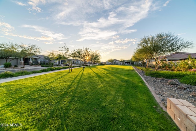 view of yard