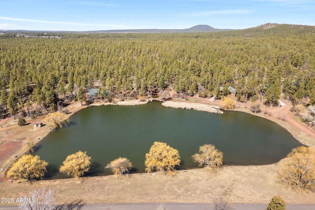 aerial view featuring a water and mountain view