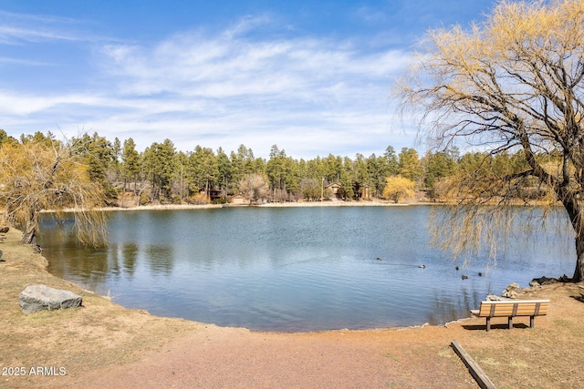 view of water feature