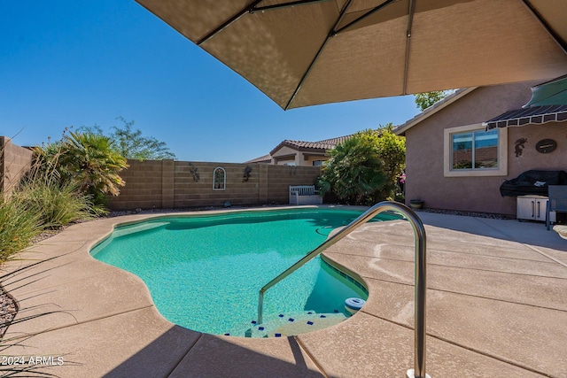 view of swimming pool with a patio area and a grill