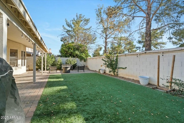 view of yard featuring a patio