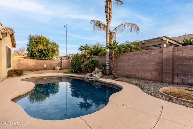 view of pool featuring a patio area