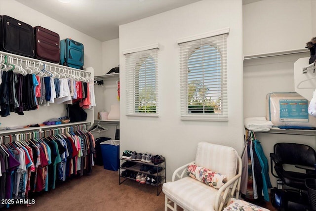 walk in closet with carpet