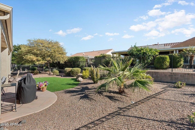 view of yard featuring a patio area