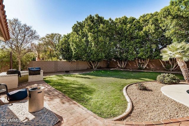 view of yard with exterior kitchen and a patio area