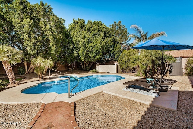 view of pool with a patio