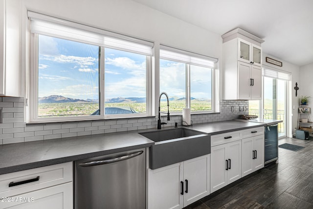 kitchen featuring a healthy amount of sunlight, stainless steel dishwasher, sink, and a mountain view