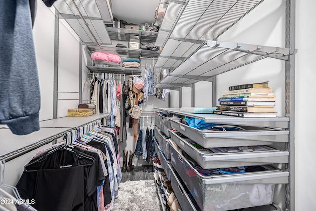 spacious closet featuring hardwood / wood-style flooring