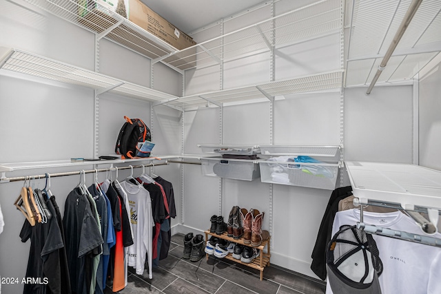 spacious closet featuring dark hardwood / wood-style flooring