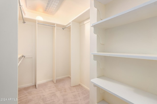 spacious closet with light carpet