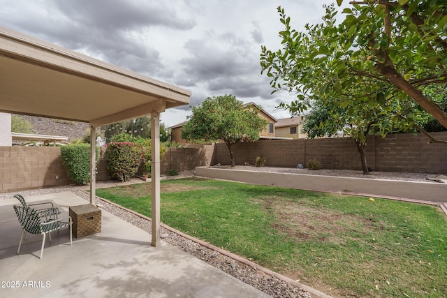 view of yard with a fenced backyard and a patio