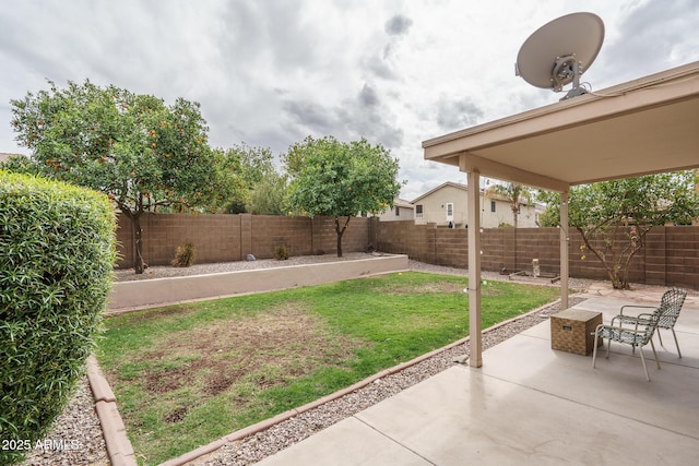 view of yard featuring a patio area and a fenced backyard