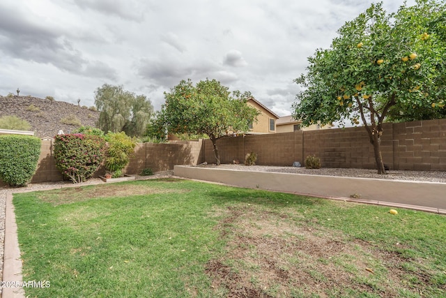 view of yard with a fenced backyard