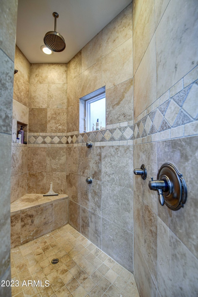 22406 S 173rd Way, Gilbert, AZ 85298 - full bath with a tile shower