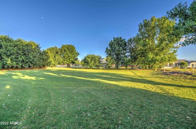 22406 S 173rd Way, Gilbert, AZ 85298 - view of grassy yard