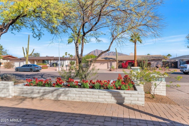 view of yard with a mountain view