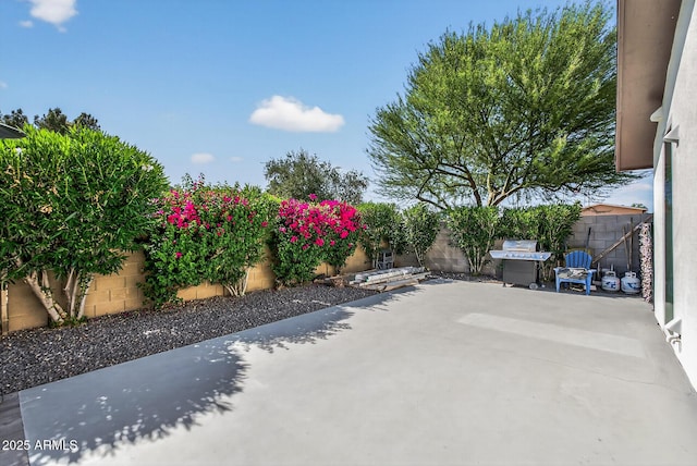 5101 E Paradise Dr, Scottsdale, AZ 85254 - fenced backyard featuring a patio and a grill