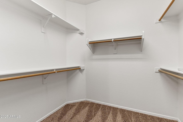 walk in closet with carpet