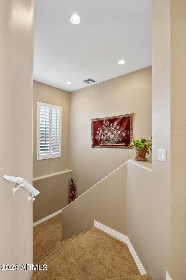 staircase with carpet flooring