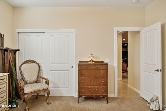 sitting room with light carpet