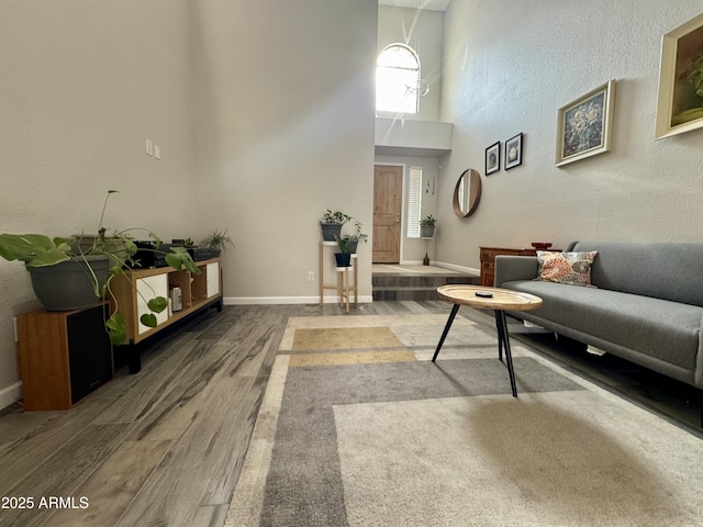 1060 E Louis Way, Tempe, AZ 85284 - living room with wood finished floors and a high ceiling