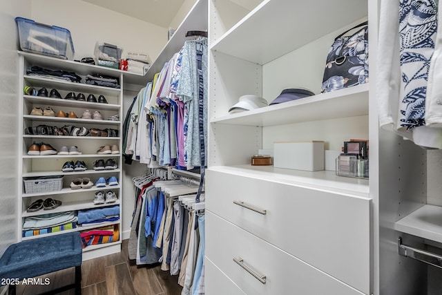 view of spacious closet