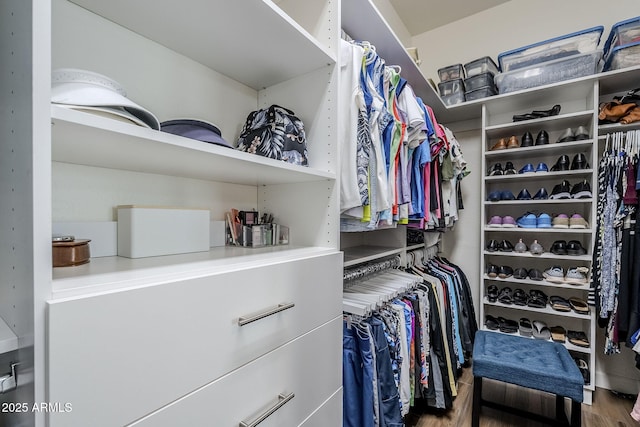 walk in closet with wood-type flooring