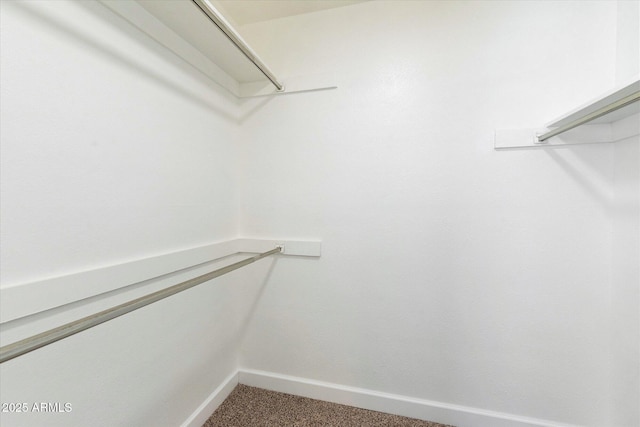 spacious closet with carpet floors