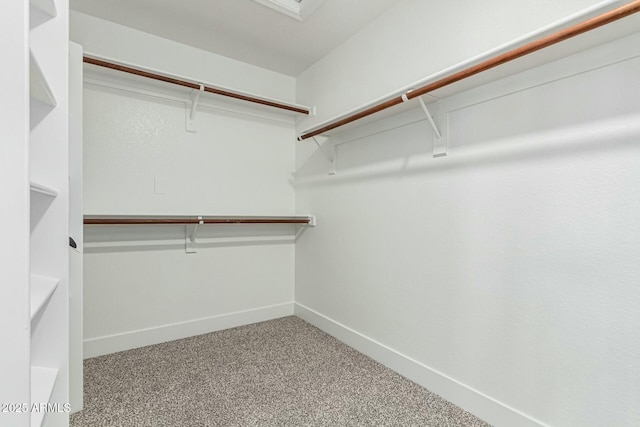 spacious closet with carpet floors