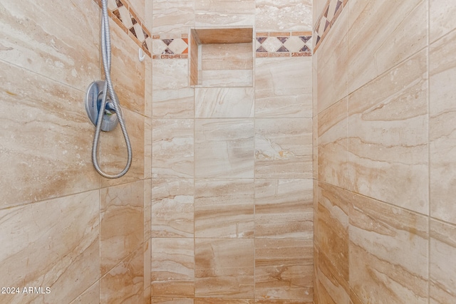 room details with tiled shower