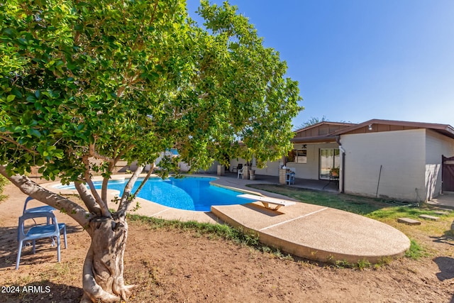 view of swimming pool with a patio area and a diving board