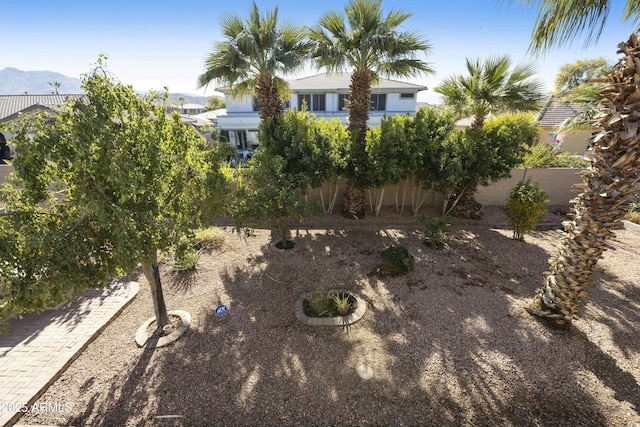 view of yard with a mountain view