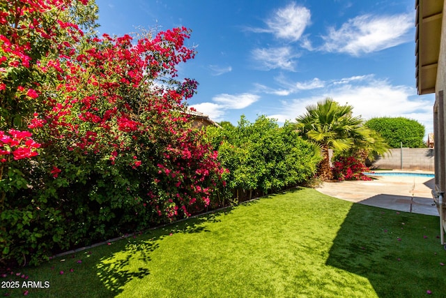 view of yard featuring a fenced backyard and a patio