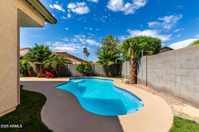 view of swimming pool with a fenced in pool, a fenced backyard, and a patio area