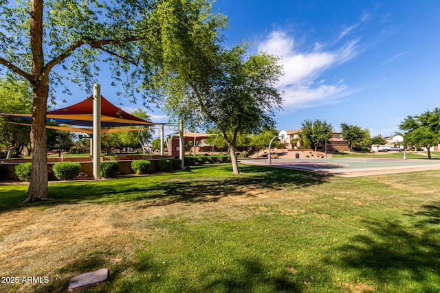 view of property's community with a lawn and community basketball court