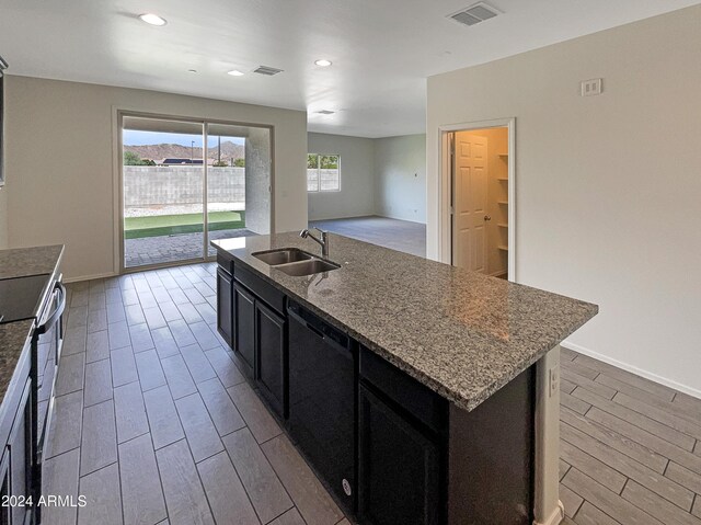 kitchen with sink, light hardwood / wood-style flooring, a center island with sink, and a healthy amount of sunlight