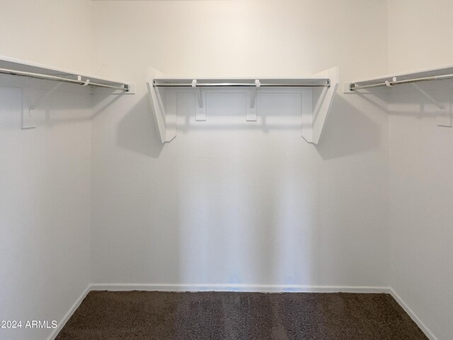 spacious closet featuring carpet