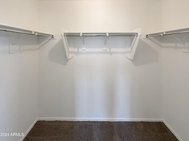 walk in closet with carpet floors