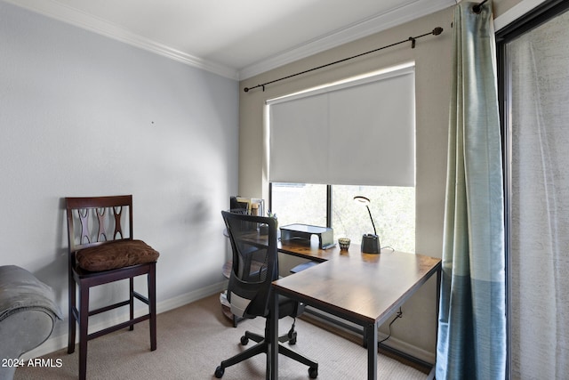 carpeted home office featuring ornamental molding