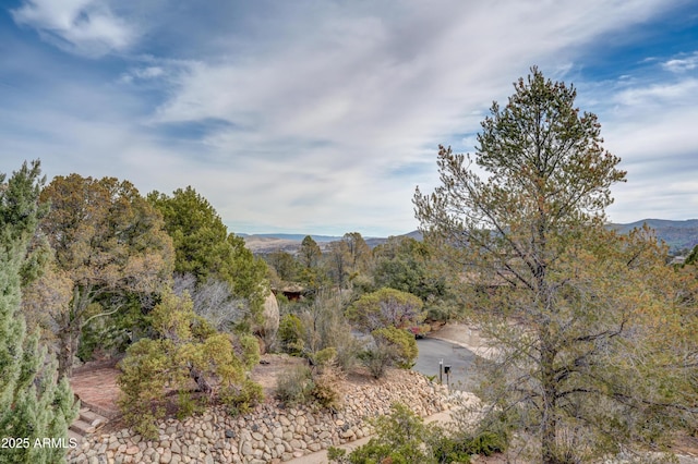 view of mountain feature featuring a wooded view