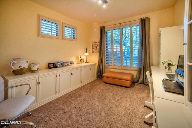 sitting room featuring light carpet