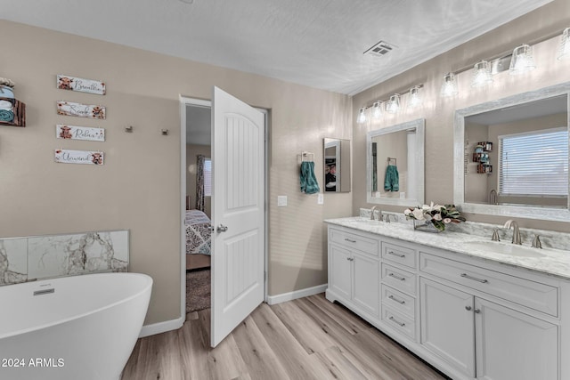 bathroom featuring a washtub, wood-type flooring, and vanity