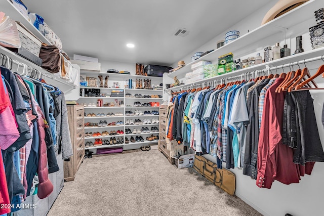 spacious closet featuring carpet floors