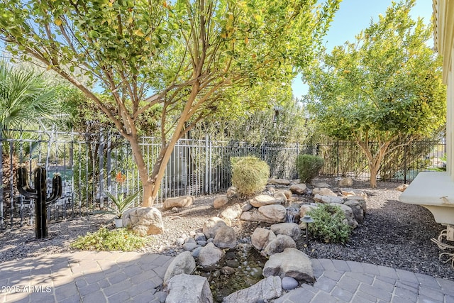 view of yard with a patio