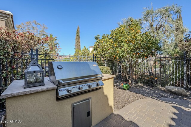 view of patio / terrace featuring area for grilling