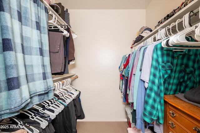 view of spacious closet