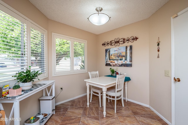 dining room with baseboards and a textured ceiling