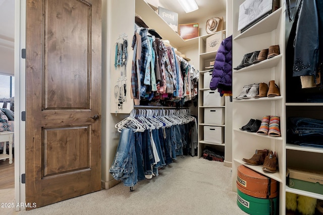 spacious closet featuring carpet